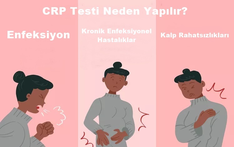  CRP Testi Neden Yapılır