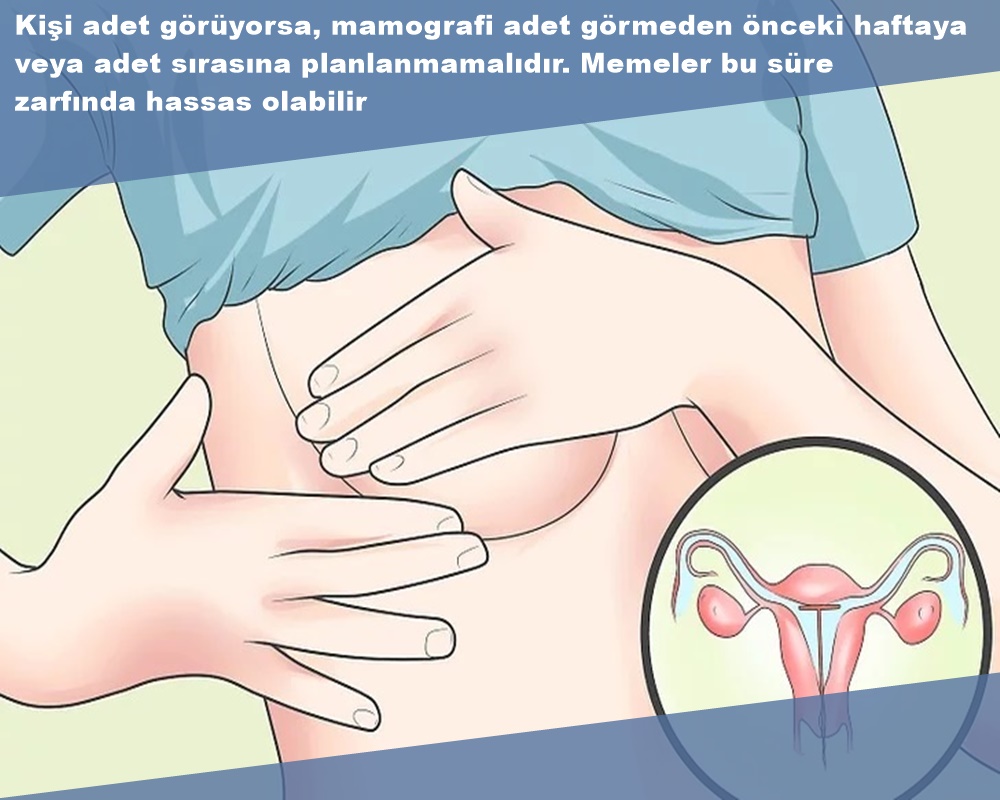 Mamografi Adet