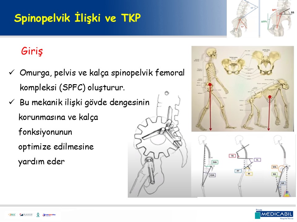 Slide 10