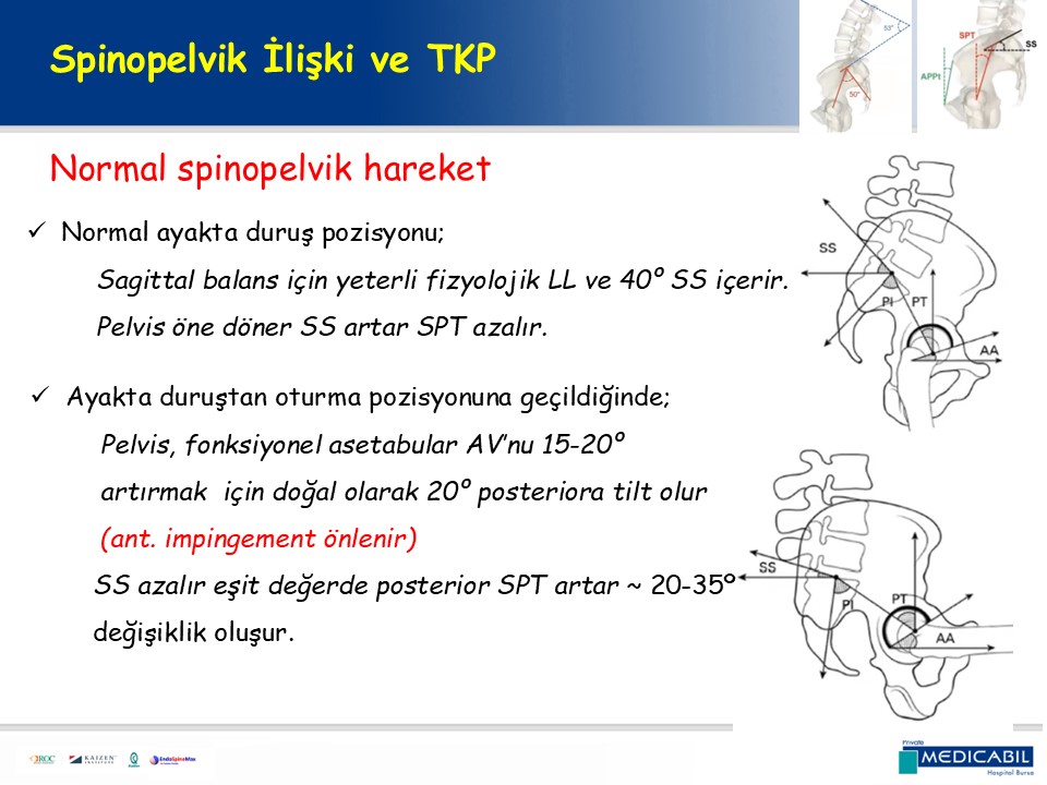 Slide 12