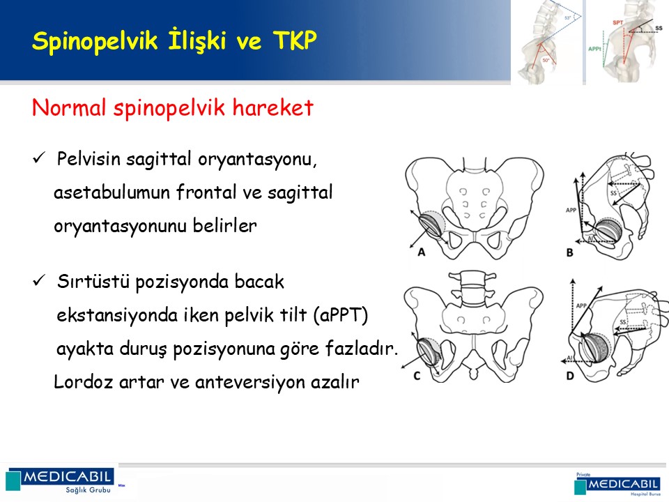 Slide 13