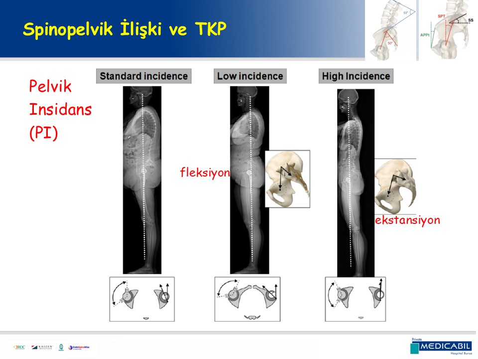 Slide 36