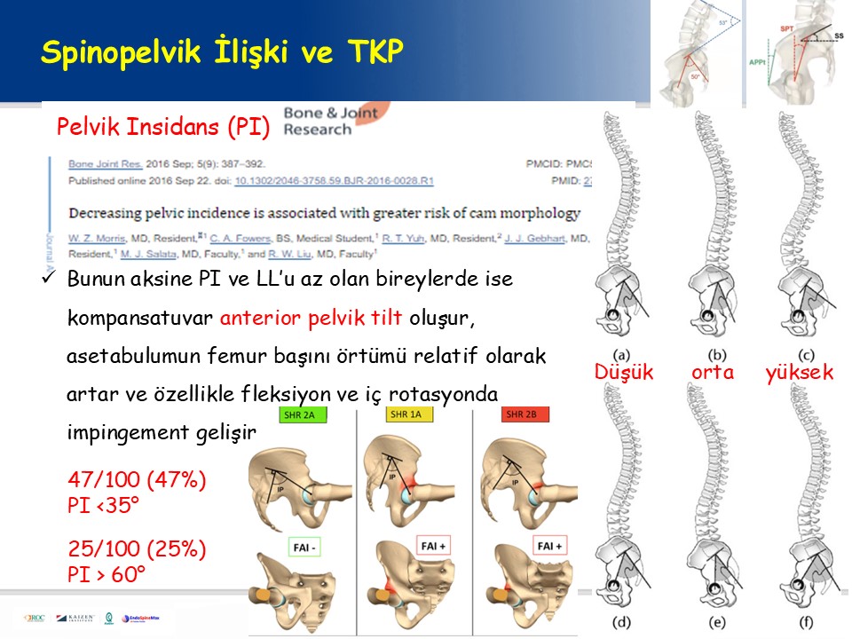 Slide 41