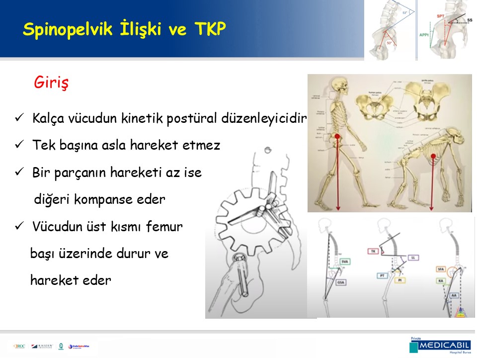 Slide 9